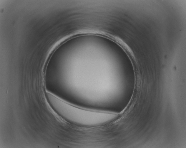 X0000081621380200701151044