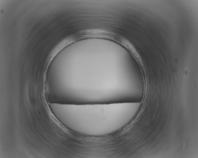 X0000081621386200701151044