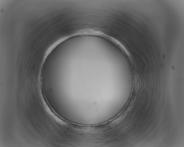 X0000081621387200701151044
