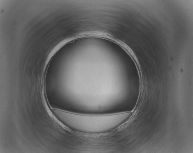 X0000081621389200701151044