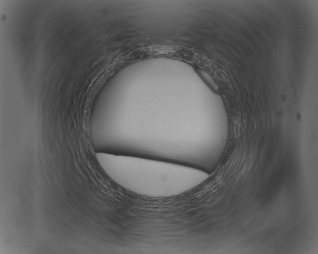 X0000081621393200701151043
