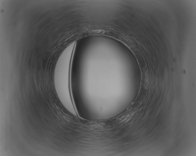 X0000081621394200701151043