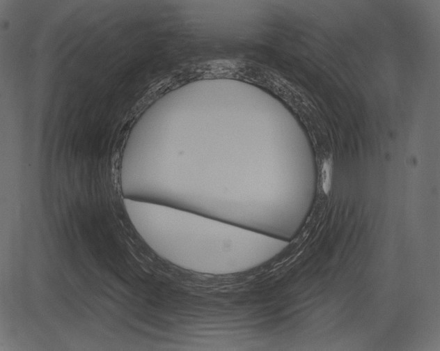 X0000081621395200701151043