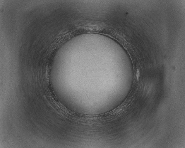 X0000081621396200701151043