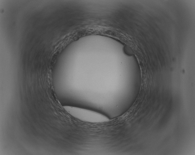 X0000081621397200701151043