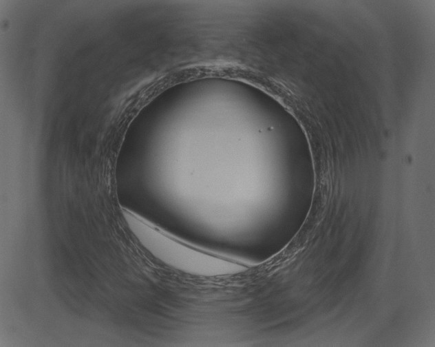 X0000081621398200701151043