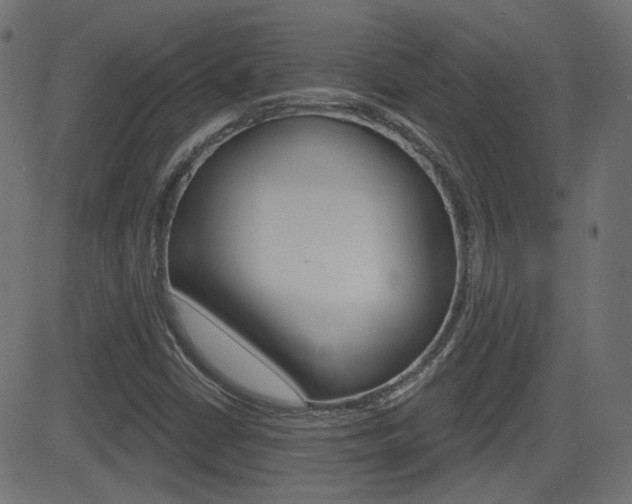 X0000081621402200701151043