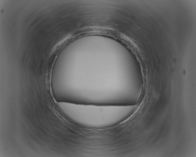 X0000081621403200701151043