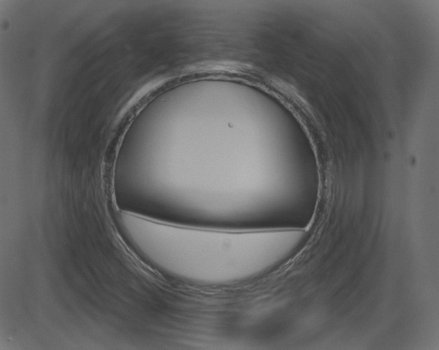 X0000081621404200701151043