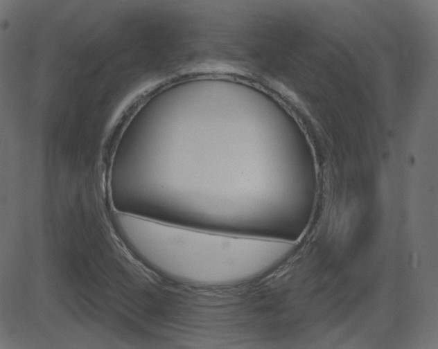 X0000081621408200701151043