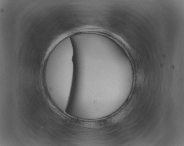 X0000081621413200701151043