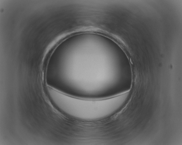 X0000081621414200701151043