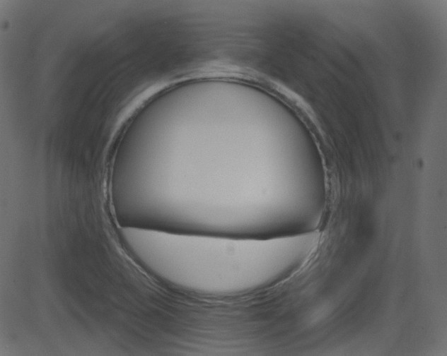 X0000081621415200701151043