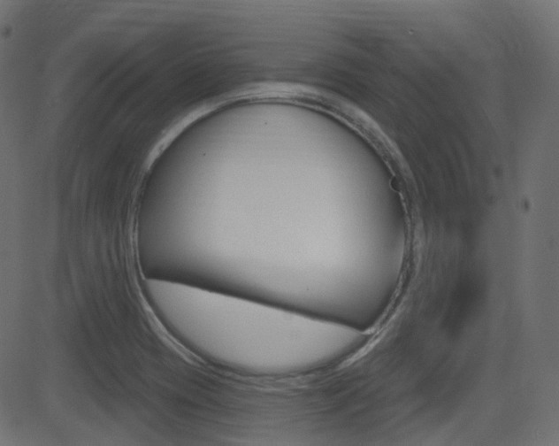 X0000081621417200701151043