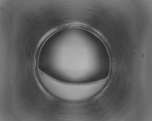 X0000081621418200701151043