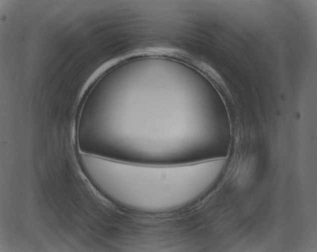 X0000081621420200701151043