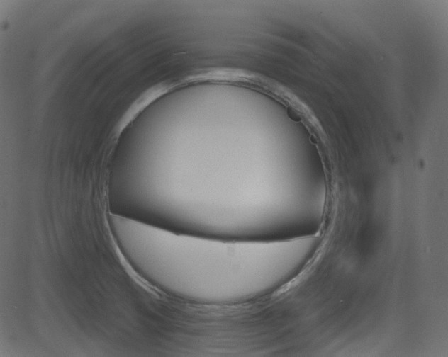 X0000081621425200701151043