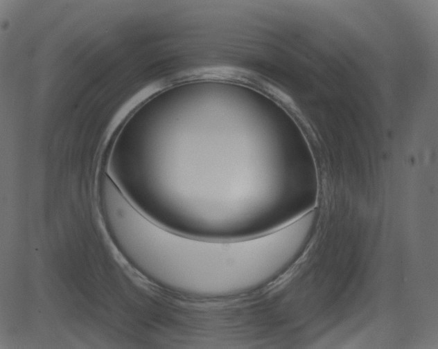 X0000081621426200701151043