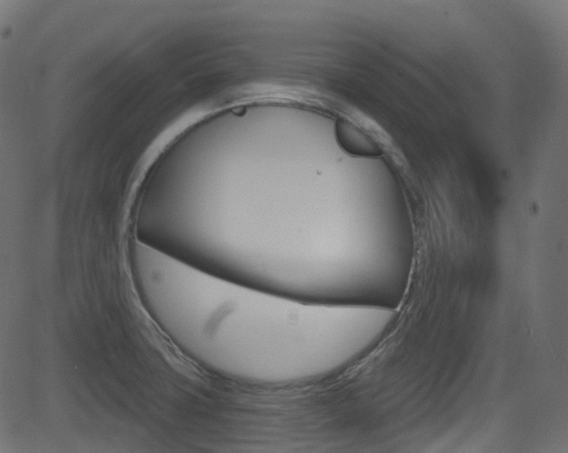 X0000081621427200701151043