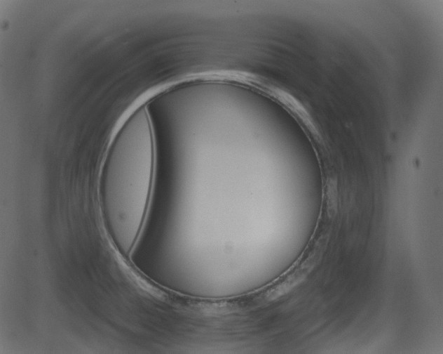 X0000081621428200701151043