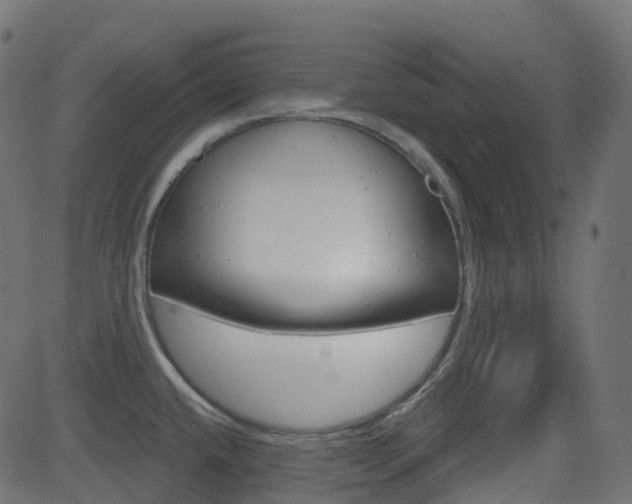 X0000081621432200701151043