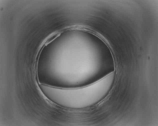 X0000081621434200701151043