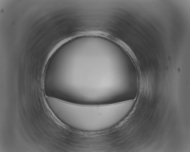 X0000081621436200701151043