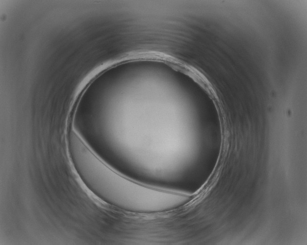 X0000081621438200701151043