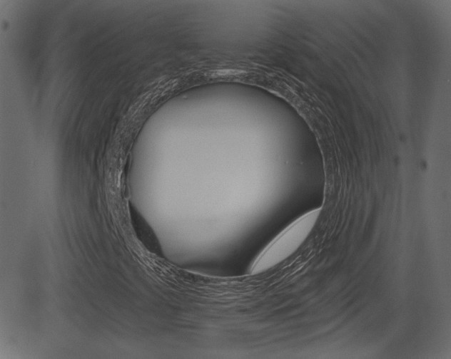 X0000081621441200701151043