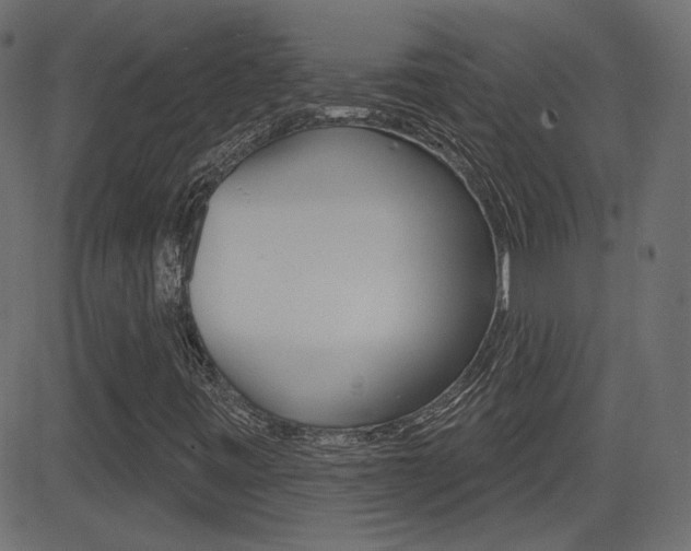 X0000081621443200701151043