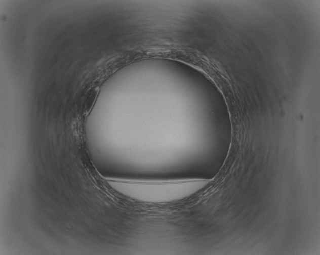 X0000081621445200701151043