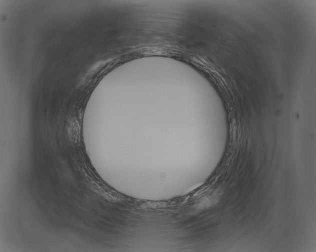 X0000081621446200701151043