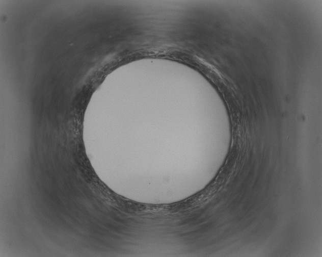 X0000081621447200701151043