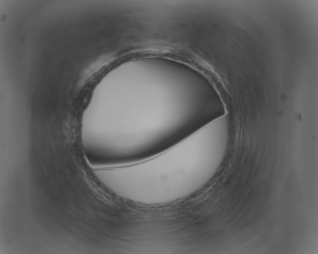 X0000081621448200701151043