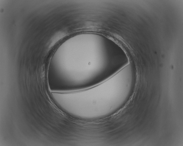 X0000081621450200701151043