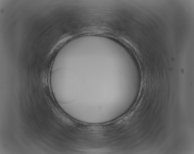 X0000081621451200701151043