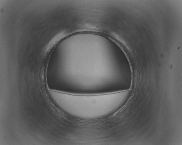 X0000081621455200701151042
