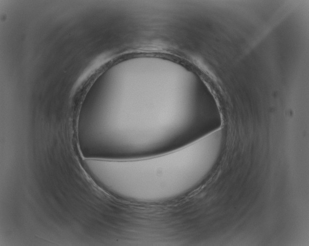 X0000081621456200701151042