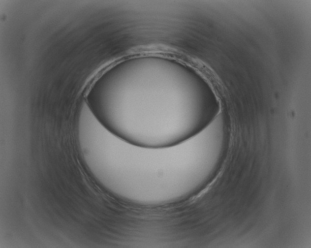 X0000081621457200701151042