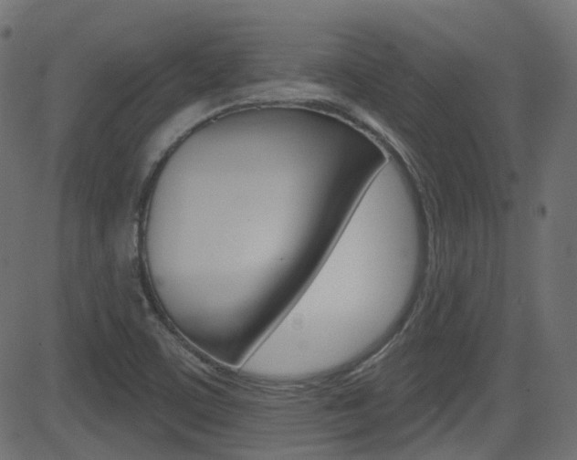 X0000081621459200701151042
