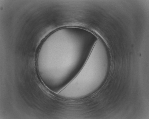 X0000081621460200701151042