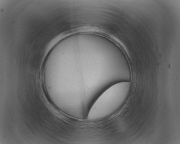 X0000081621467200701151042