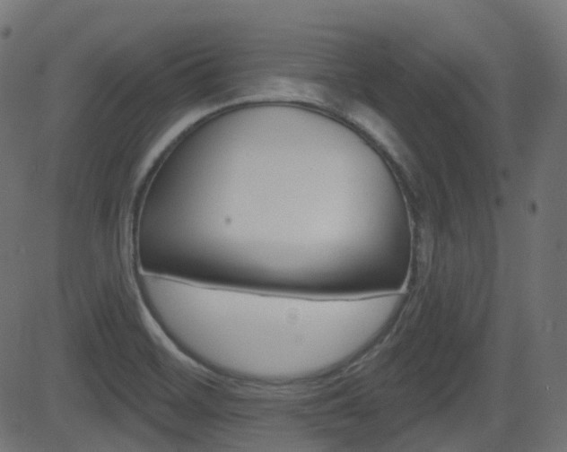 X0000081621468200701151042