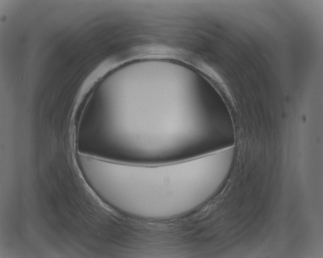 X0000081621472200701151042