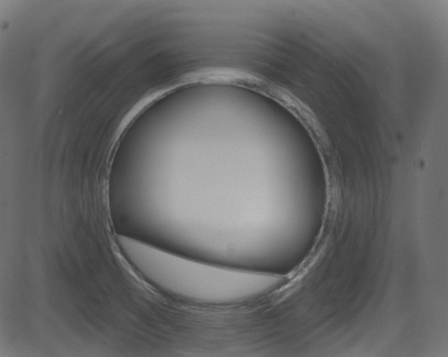 X0000081621473200701151042