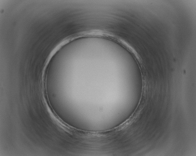 X0000081621475200701151042