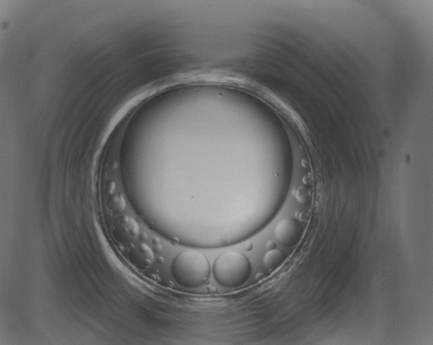 X0000081621483200701151042