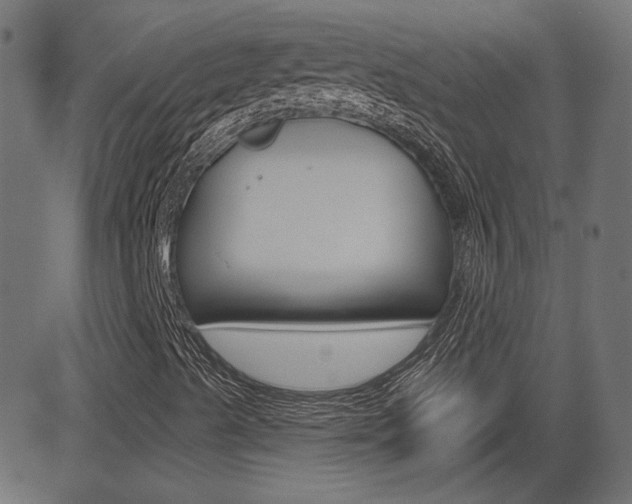 X0000081621489200701151041