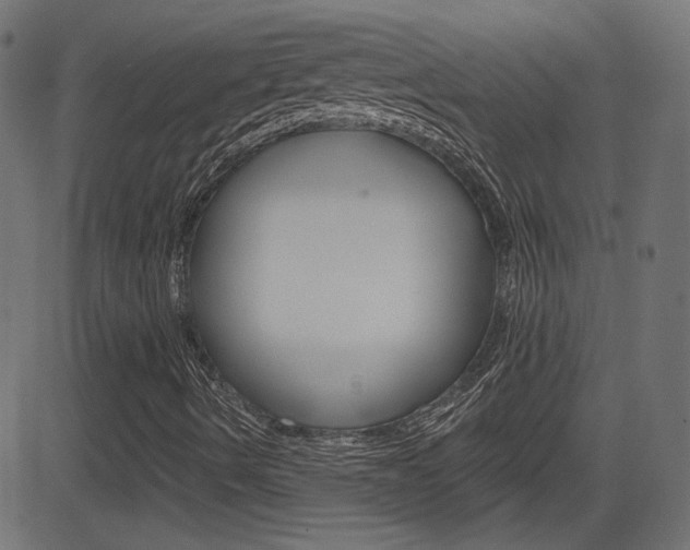 X0000081621490200701151041
