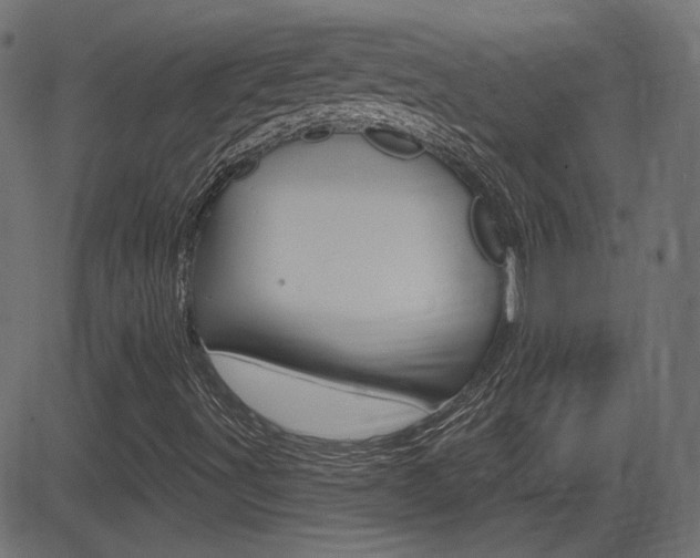 X0000081621491200701151041